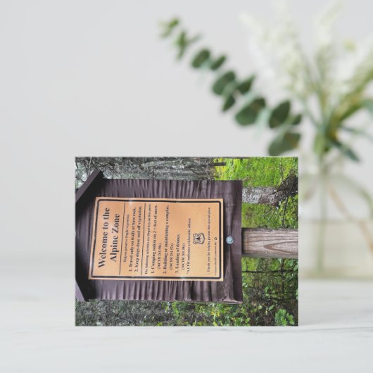 Alpengebied - White Mountains National Forest Briefkaart (Staand voorkant)