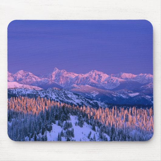 Alpenglow treft de toppen van de Gletsjer Muismat (Voorkant)