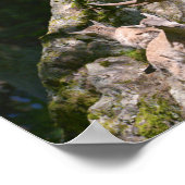 Alpenibex in de berg poster (Hoek)