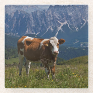 Alpenkoe Glas Onderzetter