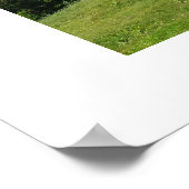 Alpenlandschap in Zwitserland Poster (Hoek)
