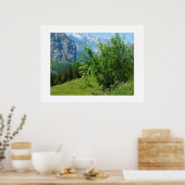 Alpenlandschap in Zwitserland Poster (Keuken)