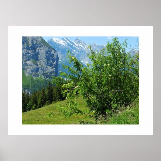 Alpenlandschap in Zwitserland Poster (Voorkant)