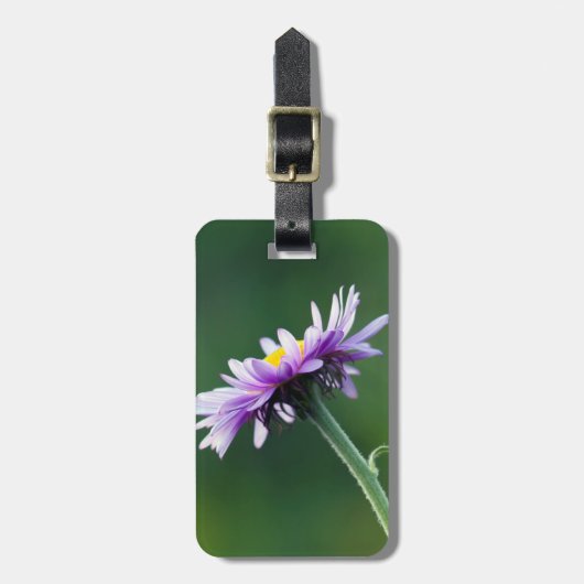 Alpenmargriet Bagagelabel (Voorkant verticaal)