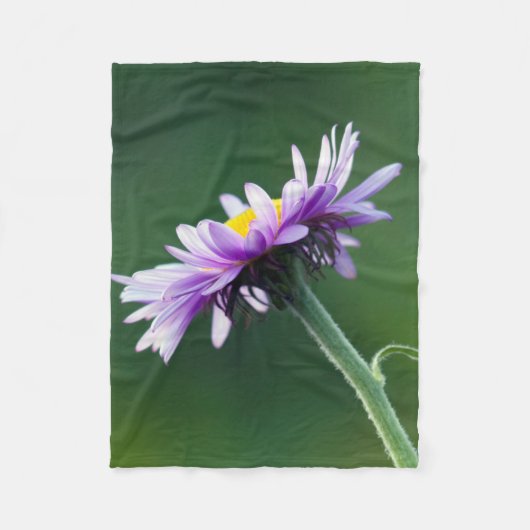 Alpenmargriet Fleece Deken (Voorkant)