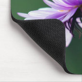 Alpenmargriet Muismat (Hoek)