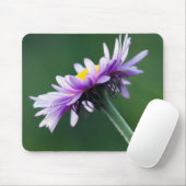 Alpenmargriet Muismat (Met muis)