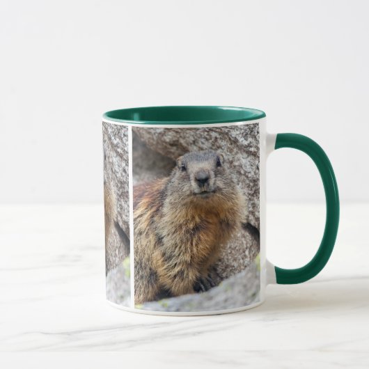 Alpenmarmot Mok (Rechts)