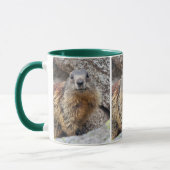 Alpenmarmot Mok (Links)