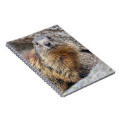 Alpenmarmot Notitieboek (Rechterzijde)