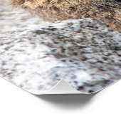 Alpenmarmotprint Foto Afdruk (Hoek)