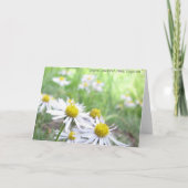 alpenreeks kaart (Achterkant)