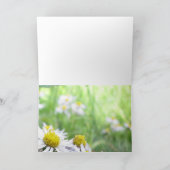 alpenreeks kaart (Binnen)