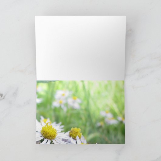 alpenreeks kaart (Binnen)