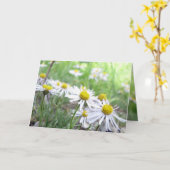 alpenreeks kaart (Gele Bloem)