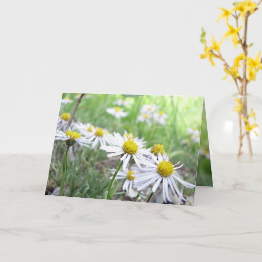 alpenreeks kaart (Gele Bloem)