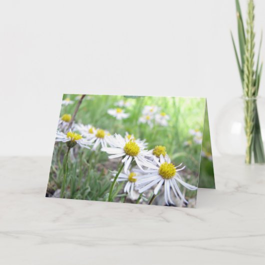 alpenreeks kaart (Voorkant)