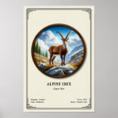 Alpensteenbok Zoologie Serie Poster (Voorkant)