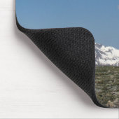 alpentoendra muismat (Hoek)