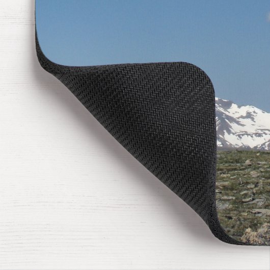 alpentoendra muismat (Hoek)