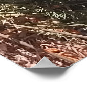 alpenweide poster (Hoek)