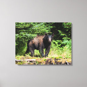 Alpha Black Beer Canvas Afdruk