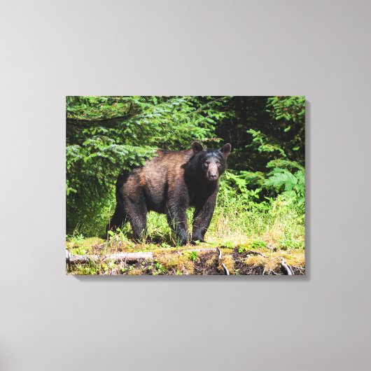Alpha Black Beer Canvas Afdruk (Voorkant)