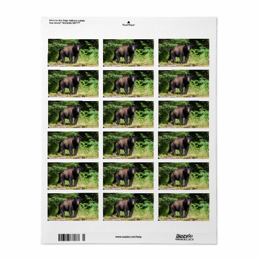 Alpha Black Beer Etiket (Full Sheet)