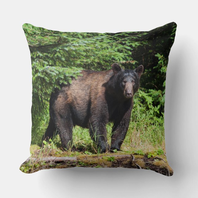 Alpha Black Beer Kussen (Voorkant)