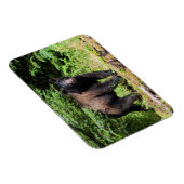 Alpha Black Beer Magneet (Rechterzijde)