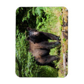 Alpha Black Beer Magneet (Verticaal)