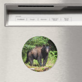 Alpha Black Beer Magneet (Insitu (Vaatwasser))