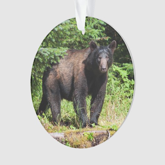 Alpha Black Beer Ornament (voorkant)