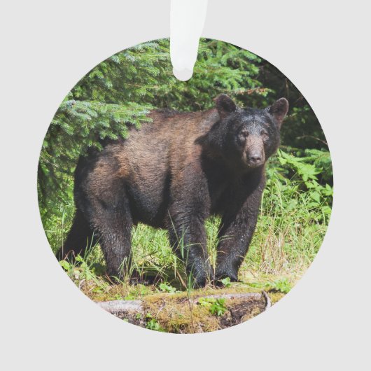 Alpha Black Beer Ornament (voorkant)