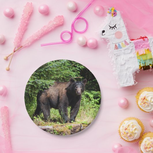 Alpha Black Beer Papieren Bordje (Feest)