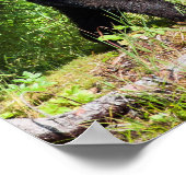 Alpha Black Beer Poster (Hoek)