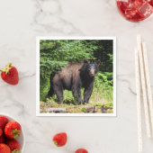 Alpha Black Beer Servet (Insitu)