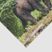 Alpha Black Beer Tissuepapier (Detail)