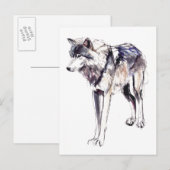 Alpha Briefkaart (Voorkant / Achterkant)