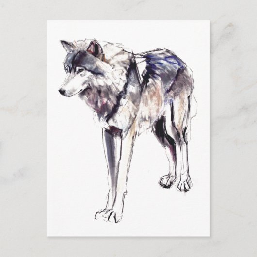 Alpha Briefkaart (Voorkant)