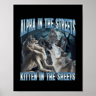 Alpha in de straten kitten in lakens grappig waren poster
