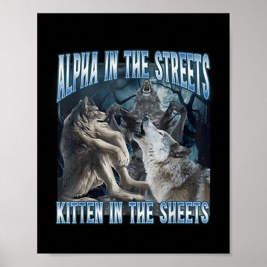 Alpha in de straten kitten in lakens grappig waren poster (Voorkant)
