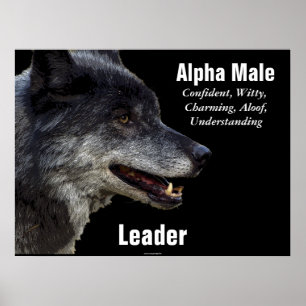 Alpha Male Gray Wolf Motivatie Poster