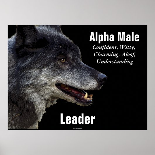 Alpha Male Gray Wolf Motivatie Poster (Voorkant)