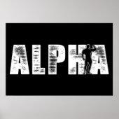 Alpha Male Poster (Voorkant)