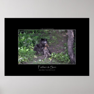 Alpha Mannelijke Grijze Wolf & Pup Foto Print