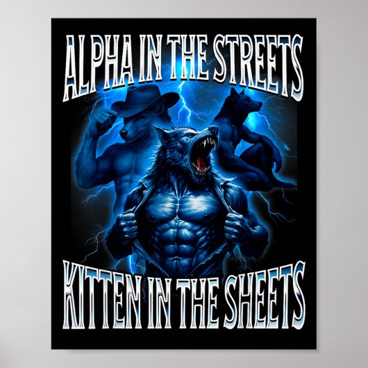 Alpha Op Straat Kitten In De Lakens Wolf Meme Poster (Voorkant)