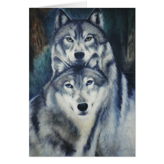 "Alpha Pair" (Voorkant)