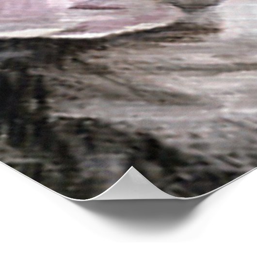 Alpha Pair Poster (Hoek)