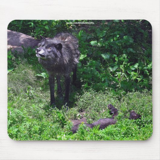 Alpha Timber Wolf & Grijze Wolf Club Wildlife Art Muismat (Voorkant)